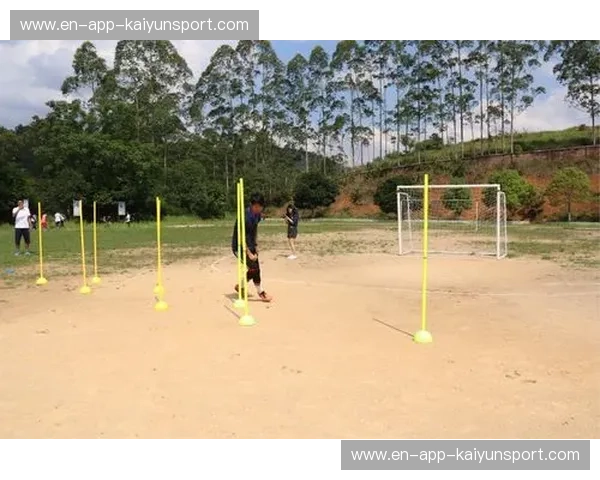 开云体育试玩报告:一次全方位的线上体育娱乐探索